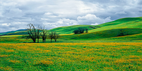 BITTERWATER RD CENTRAL COAST,CA
