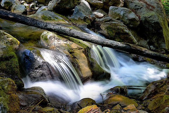 HARE CREEK LIME KILN PARK