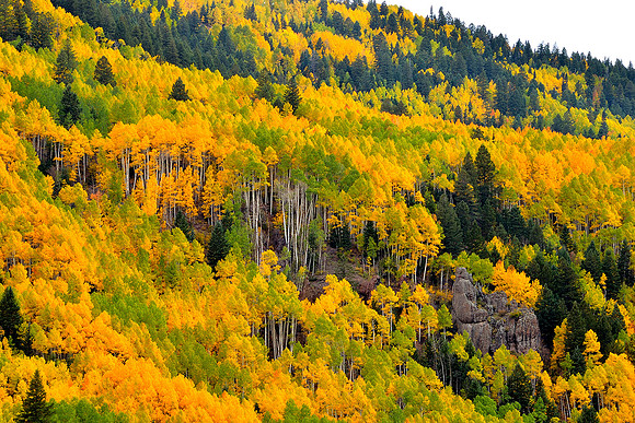 ASPENS N. NEW MEXICO