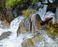 CASCADE FALLS CREEK