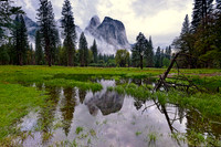 CATHEDRAL ROCKS YOSEMITE
