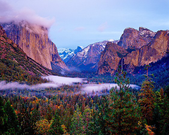 TUNNEL VIEW