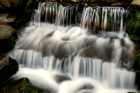 FERN SPRINGS