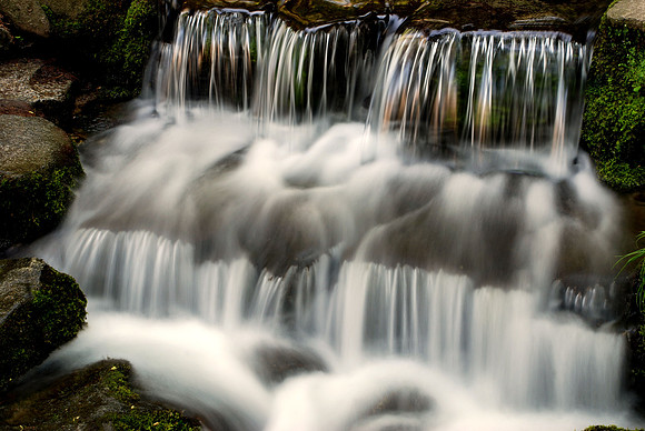FERN SPRINGS