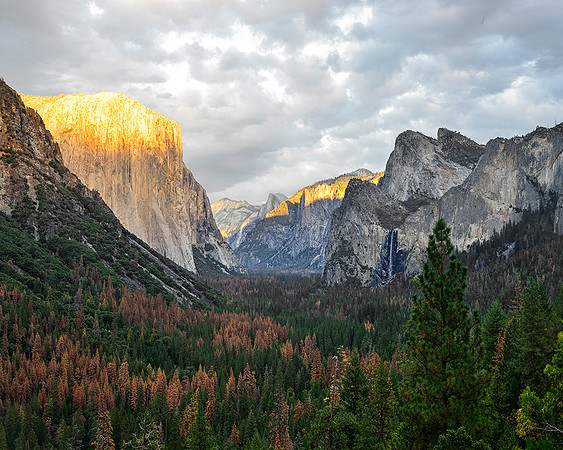 Yosemite Valley View 2016