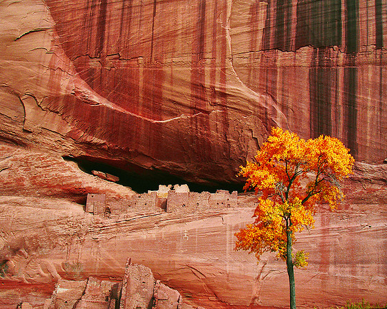 WHITE HOUSE RUIN CANYON DE CHELLY, AZ
