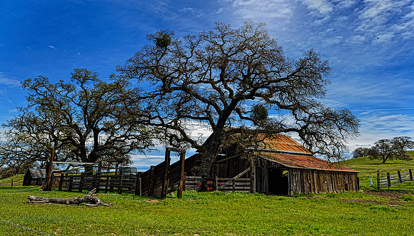 central coast barn
