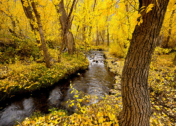 Mcgee Creek High Sierra, Ca