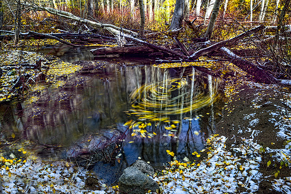 Fall Lee Vining Creek, High Sierra, Ca