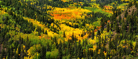 RED RIVER NEW MEXICO