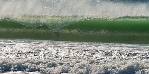 CAYUCUS WAVE