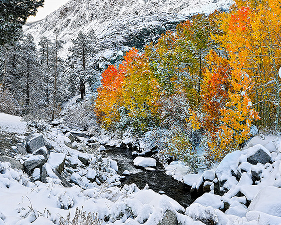 BISHOP CREEK,CA