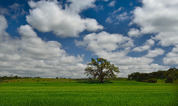 Creston Rd. Central Coast, Ca