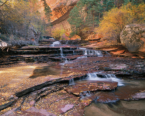 N. Cascade Zion park, Utah