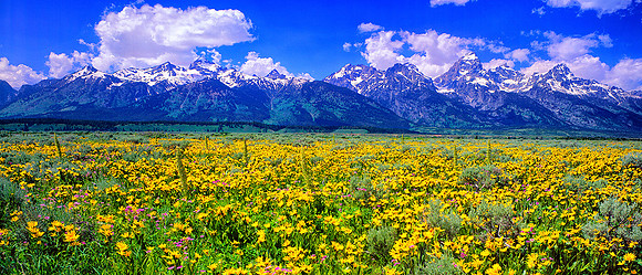 4TH JULY TETONS,WY
