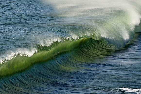 San Simeon Cove Ca