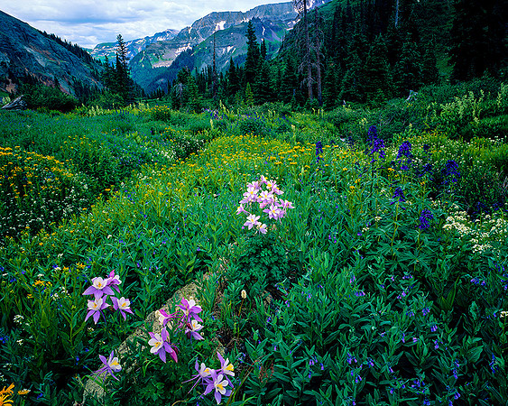 YANKEE  BOY BASIN, CO