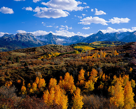 DALLAS DIVIDE OURAY CO