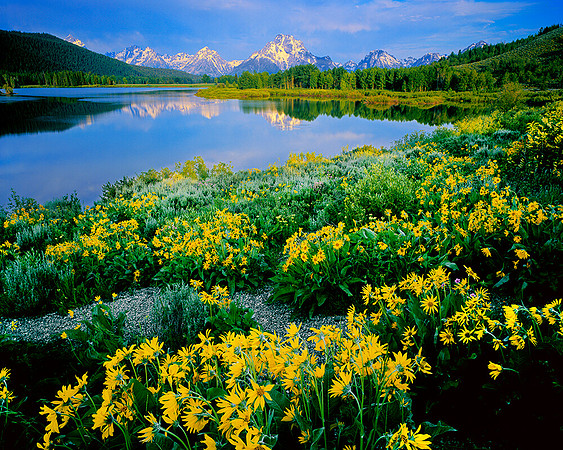 OXBOW BEND TETRONS, WY