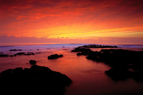 Sunset & Seals Moonstone Beach, Cambria