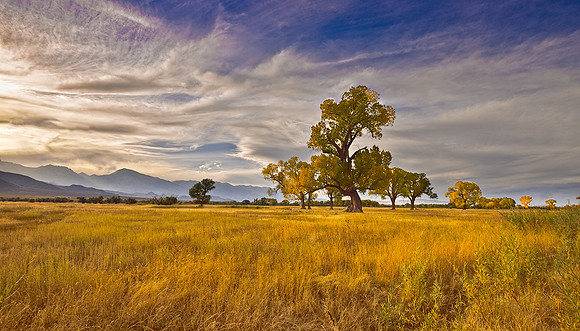 FALL BISHOP BACK ROAD, CA