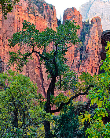 ZION CANYON ZION PARK, UTAH