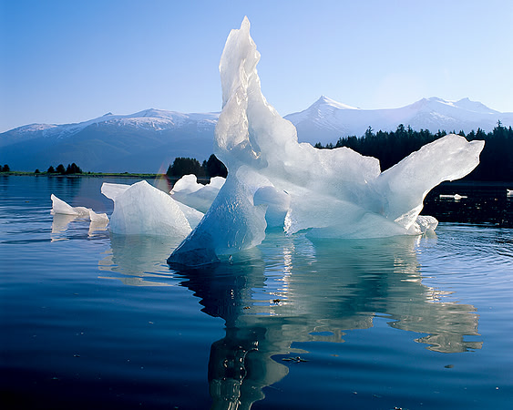 ICE BERG TRACY ARM, ALASKA