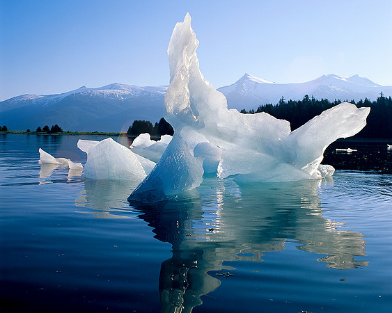 ICE BERG TRACY ARM, ALASKA