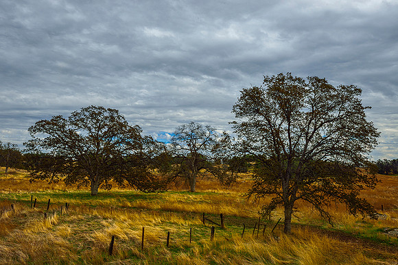 Foothills of the Sierra Nevada Mts, Ca