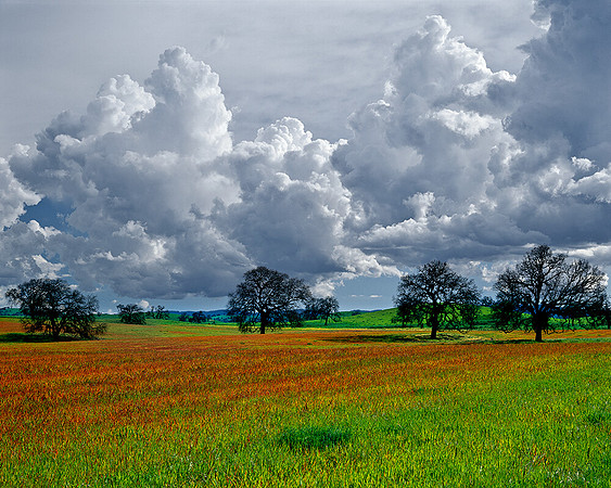 OAKS & THUNDERCLOUDS CENTRAL COAST,CA