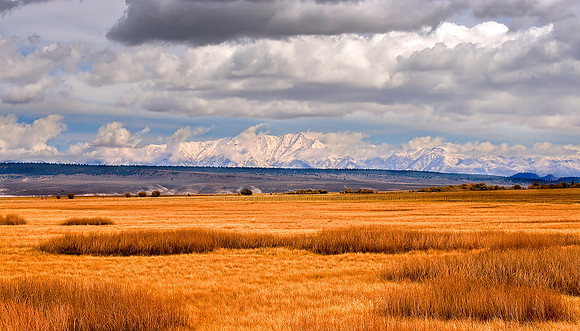 CROWLEY LAKE AREA, CA